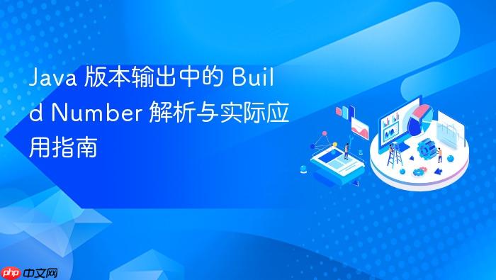 Java 版本输出中的 Build Number 解析与实际应用指南