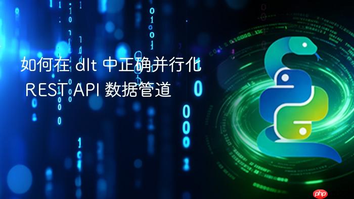 如何在 dlt 中正确并行化 REST API 数据管道