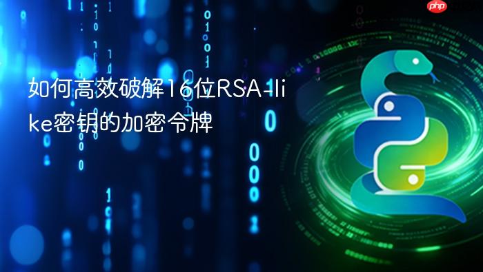 如何高效破解16位RSA-like密钥的加密令牌