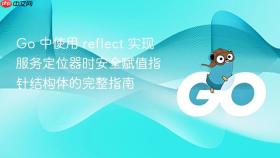Go 中使用 reflect 实现服务定位器时安全赋值指针结构体的完整指南