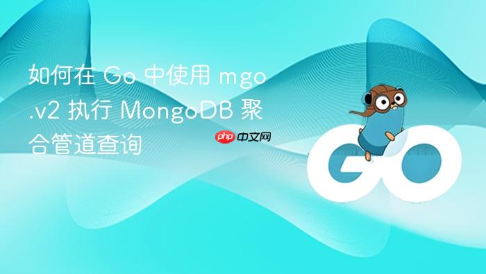 如何在 Go 中使用 mgo.v2 执行 MongoDB 聚合管道查询