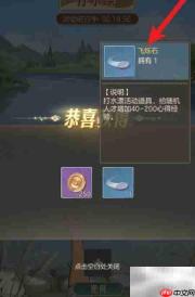 飞烁石获取攻略