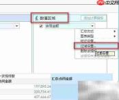 数据展示工具过滤条件设置