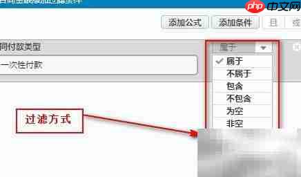 数据展示工具过滤条件设置
