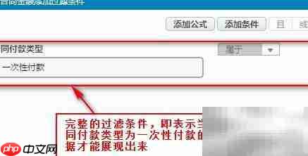 数据展示工具过滤条件设置