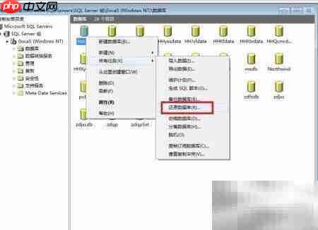 行业管理软件数据恢复指南