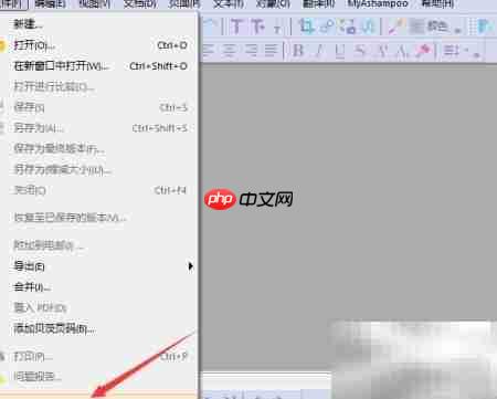 Ashampoo PDF忽略大写设置