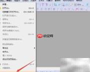 Ashampoo PDF忽略大写设置
