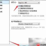 Ashampoo PDF忽略大写设置