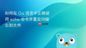 如何在 Go 语言中正确使用 echo 命令并重定向输出到文件