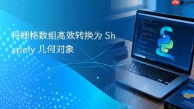将栅格数组高效转换为 Shapely 几何对象

