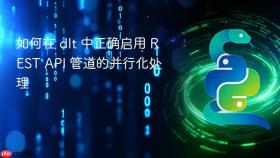 如何在 dlt 中正确启用 REST API 管道的并行化处理