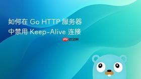 如何在 Go HTTP 服务器中禁用 Keep-Alive 连接
