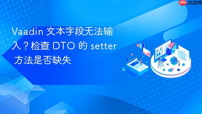 Vaadin 文本字段无法输入?检查 DTO 的 setter 方法是否缺失