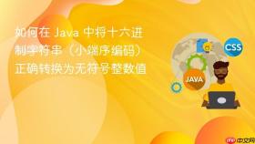 如何在 Java 中将十六进制字符串（小端序编码）正确转换为无符号整数值
