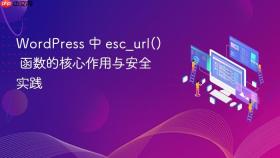 WordPress 中 esc_url() 函数的核心作用与安全实践