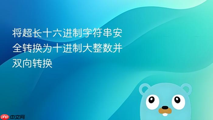 将超长十六进制字符串安全转换为十进制大整数并双向转换
