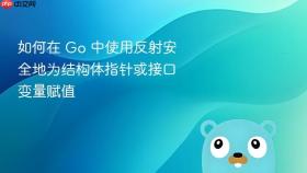 如何在 Go 中使用反射安全地为结构体指针或接口变量赋值