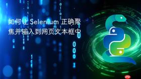 如何让 Selenium 正确聚焦并输入到网页文本框中