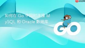 如何在 Go 中同时连接 MySQL 和 Oracle 数据库