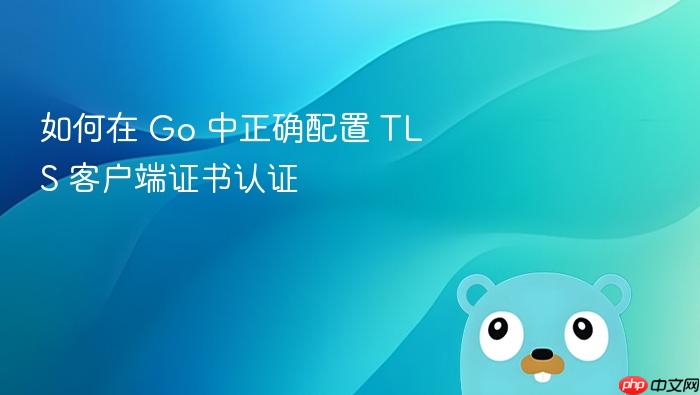 如何在 Go 中正确配置 TLS 客户端证书认证