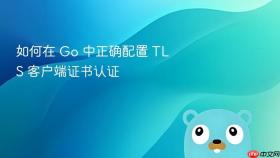 如何在 Go 中正确配置 TLS 客户端证书认证
