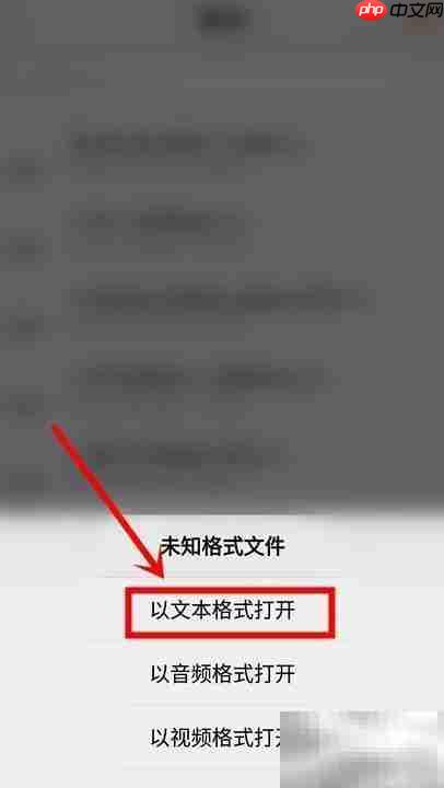 LRC文件打开方法详解
