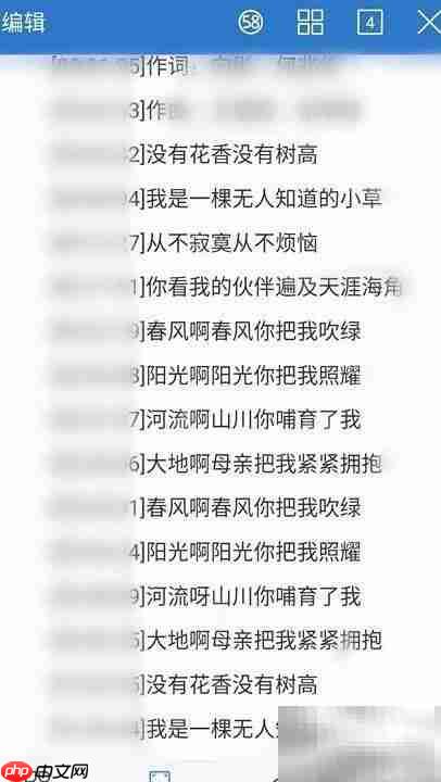 LRC文件打开方法详解
