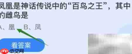 凤凰中的雌鸟是谁?