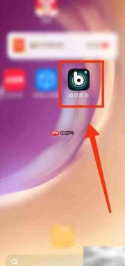 波点音乐流派选择指南