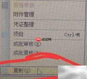 金蝶软件复制凭证方法