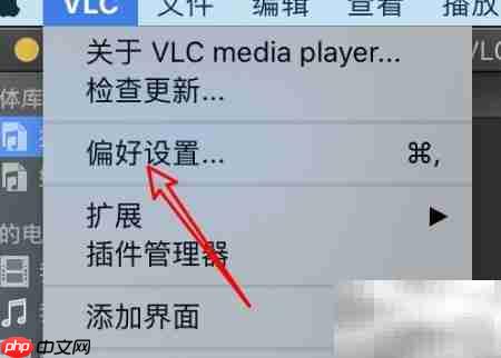 mac VLC禁止网络查元数据