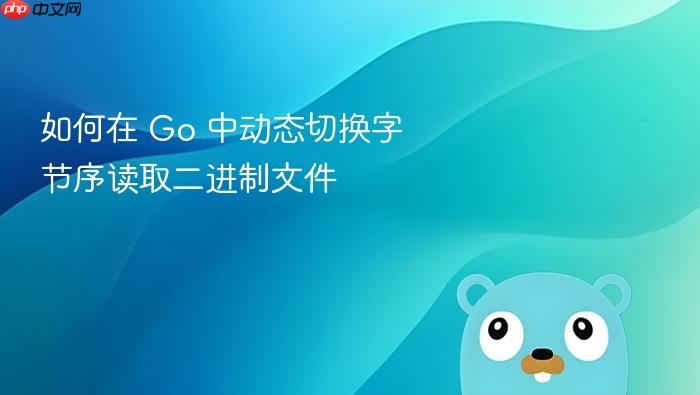 如何在 Go 中动态切换字节序读取二进制文件
