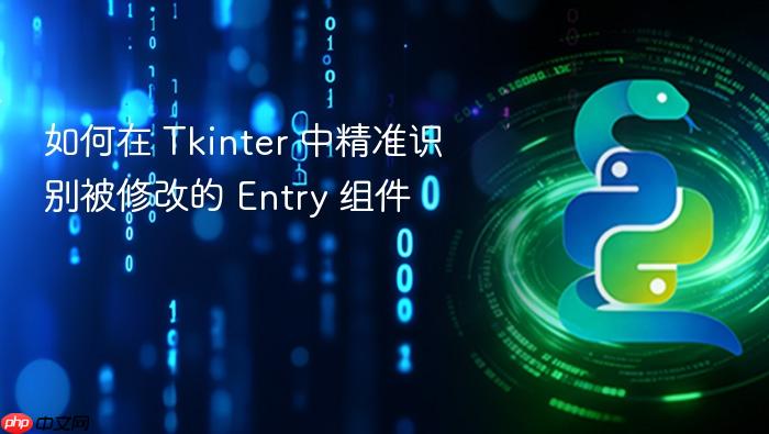 如何在 Tkinter 中精准识别被修改的 Entry 组件