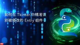 如何在 Tkinter 中精准识别被修改的 Entry 组件
