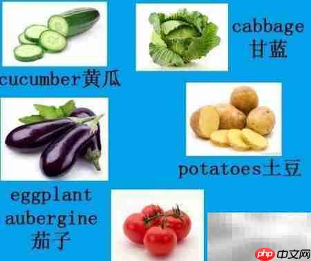 请客吃饭的英语表达技巧