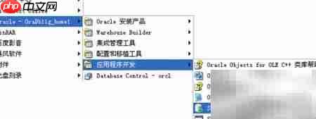 Oracle数据库实战指南