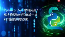 PyTorch DeiT微调实战：解决模型始终预测单一类别问题的完整指南