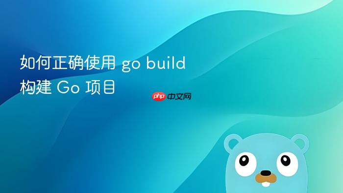 如何正确使用 go build 构建 Go 项目