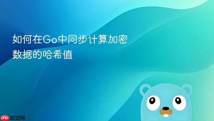 如何在Go中同步计算加密数据的哈希值