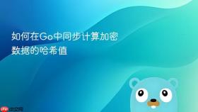 如何在Go中同步计算加密数据的哈希值
