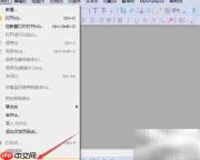Ashampoo PDF粘贴格式设置