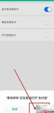 青岛无感支付停车设置指南