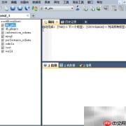 Sqlyog数据库导入导出指南