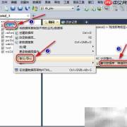 Sqlyog数据库导入导出指南