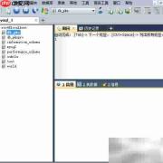 Sqlyog数据库导入导出指南