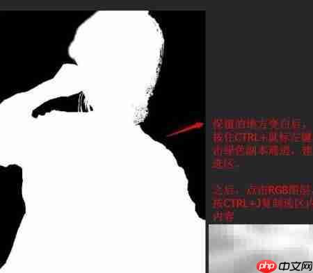 Photoshop通道抠图技巧