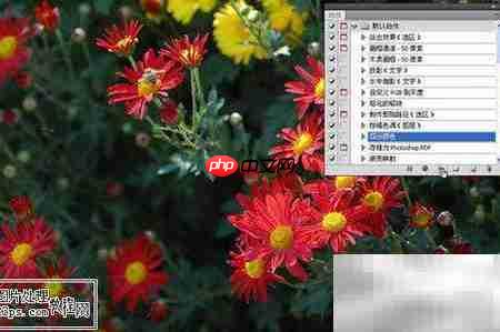 Photoshop动作入门教程