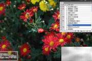 Photoshop动作入门教程