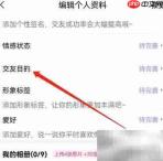 安卓聊天漂流瓶交友设置指南